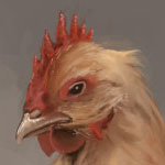 Buff Orpington Chicken