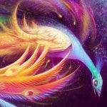 Tropical - Fantasy Bird Art
